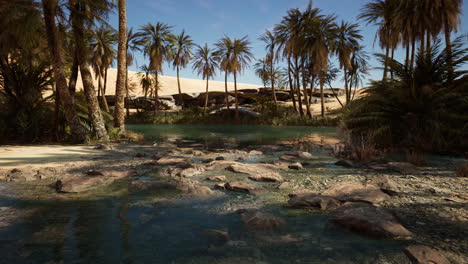 pond-and-palm-trees-in-desert-oasis